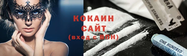 сатива Алзамай