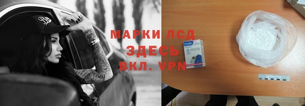 сатива Алзамай