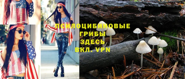 соль ск Алексеевка